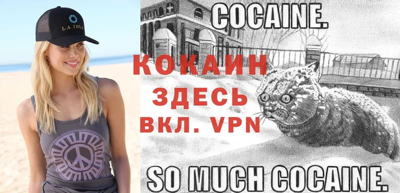 где найти   Глазов  Кокаин 99% 